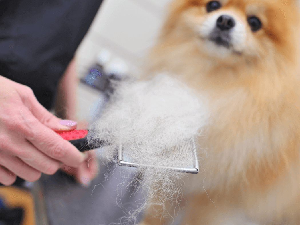 Deshedding