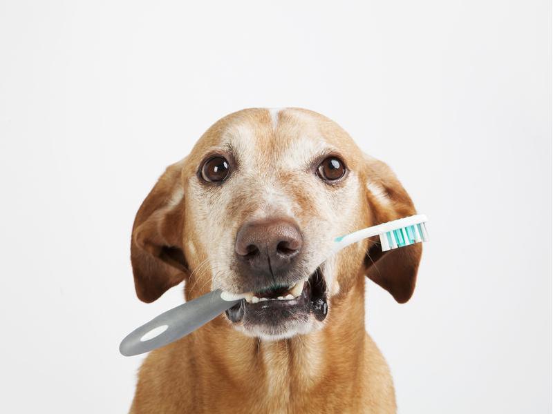 Teeth wash